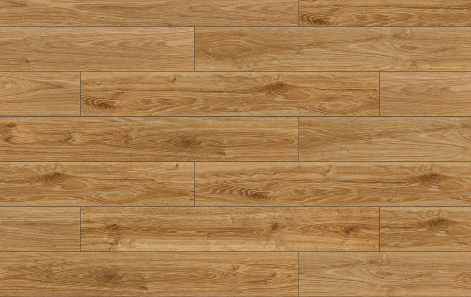 28590 - Adventure 4V - Dąb Hamilton - L372