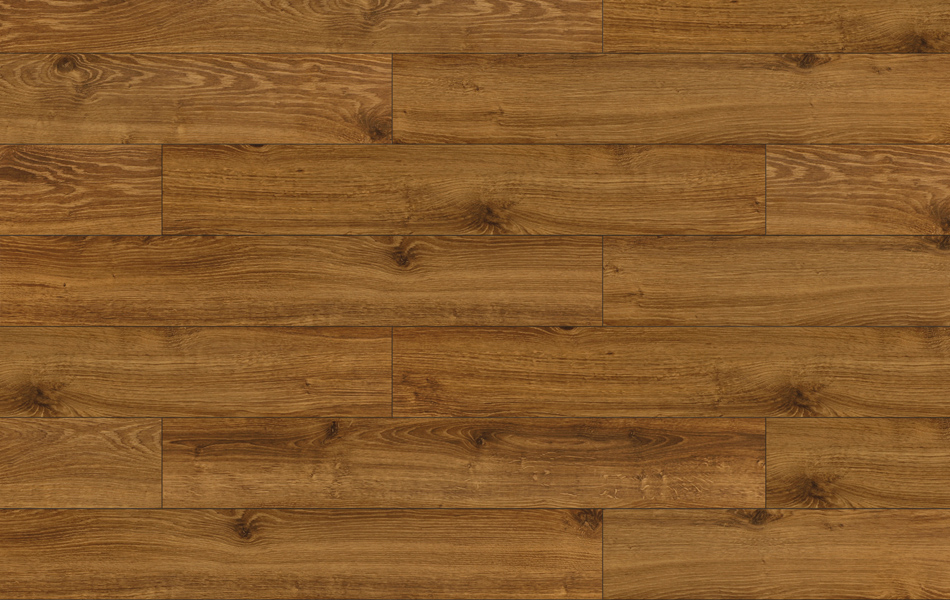 28592 - Adventure 4V - Dąb Filadelfia - L520