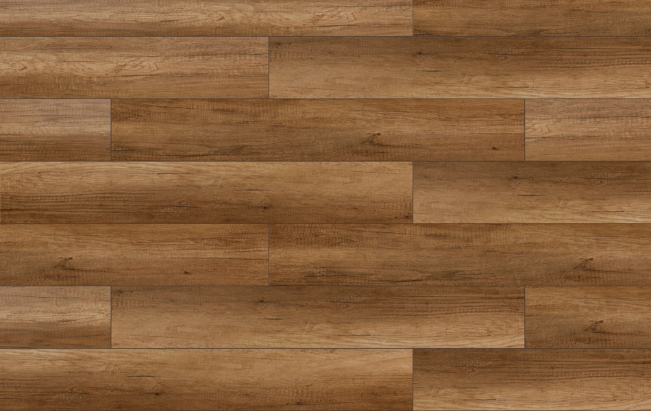 29950 - Adventure 4V - Dąb Doncaster - L355