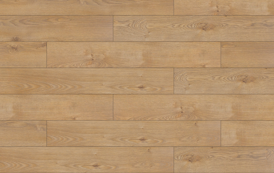 32250 - Adventure 4V - Dąb Pasadena - L584