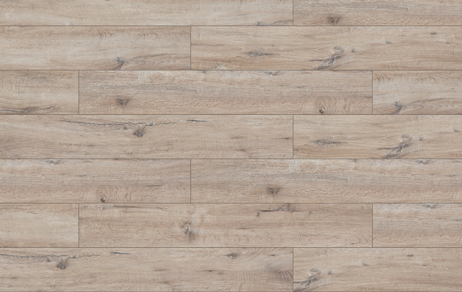 37312 - Adventure 4V - Dąb Windsor - L3638