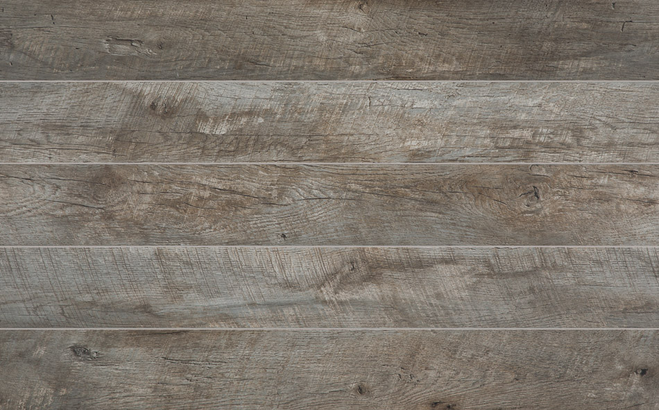 40978 - Extravagant Tradition - E. Hartford anthr. - L3687