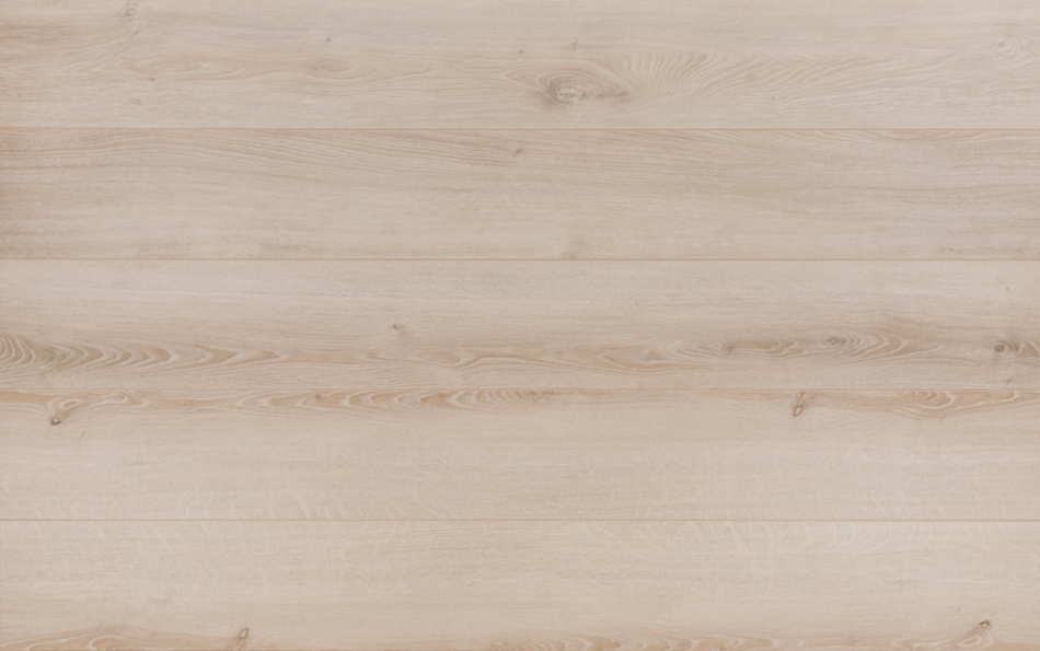 dab-denver-jasny-32962