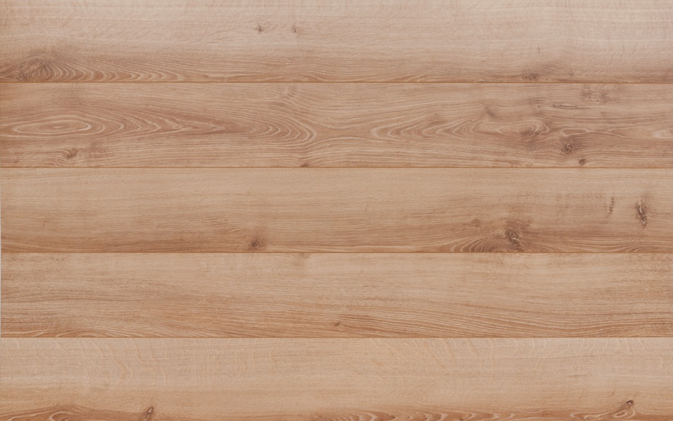 dab-denver-miodowy-32998