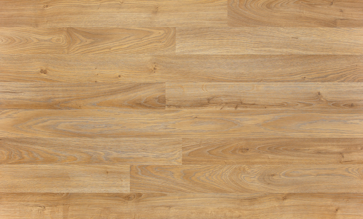 32637 - Nature - dab luton zloty