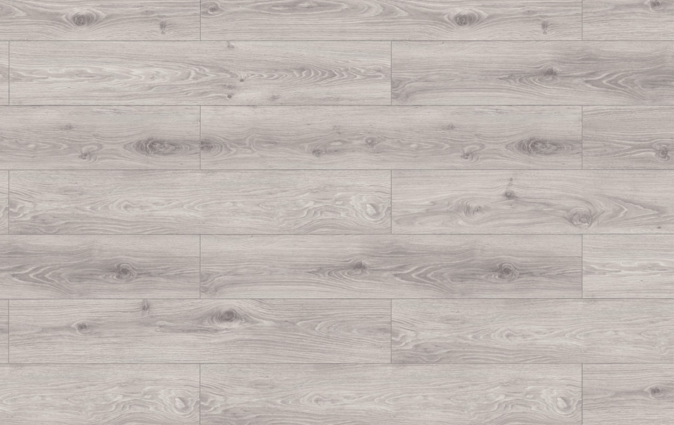 Classen - 47081 - Discovery 4V - Dąb Argenta Szary