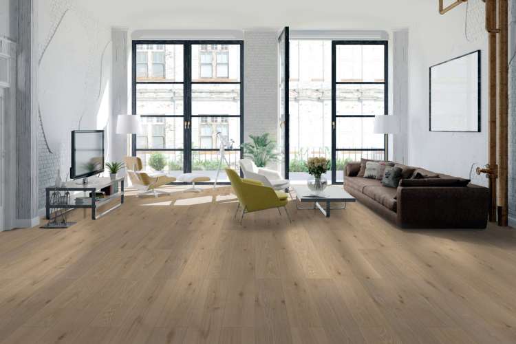 Classen Sono Forest Summer Shades 41100