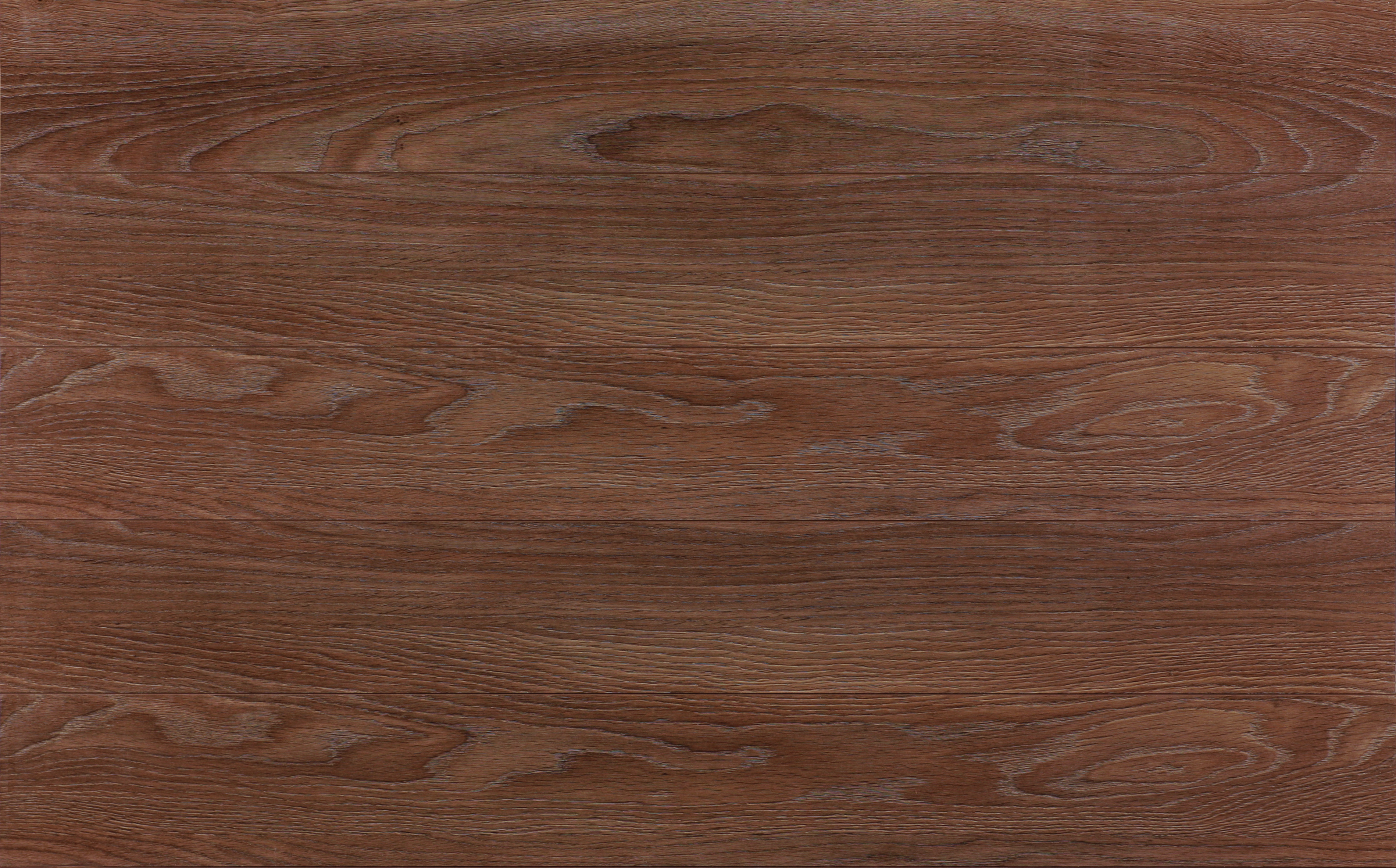 Classen Discovery 4V Dąb Verden Brązowy 27609