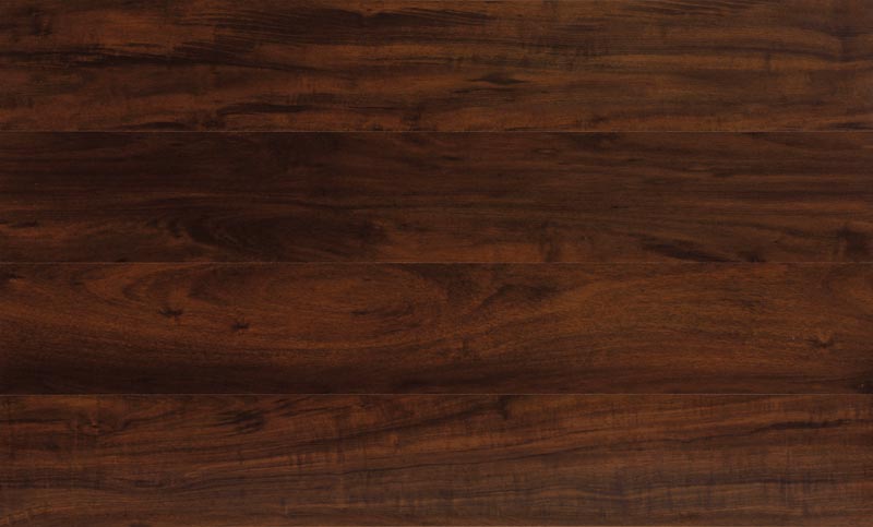 Classen Joy Lapachoo Negro 29398