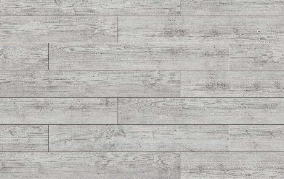 Classen Freedom 4V Pinia Modena 37308