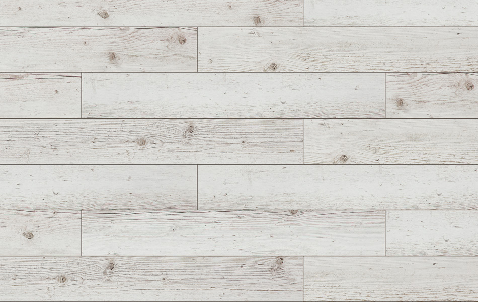 Classen Freedom 4V Świerk Catania 37310