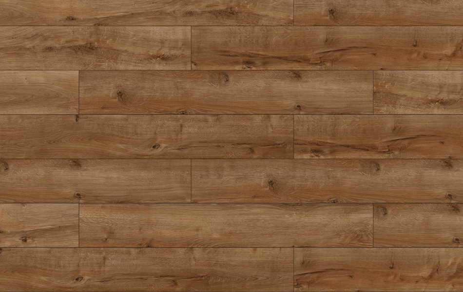 Classen Freedom 4V Dąb Winnipeg 44029