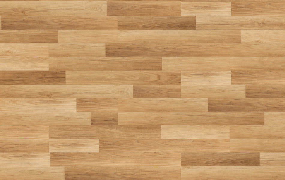 28424 - Life - Dąb Boston - L373