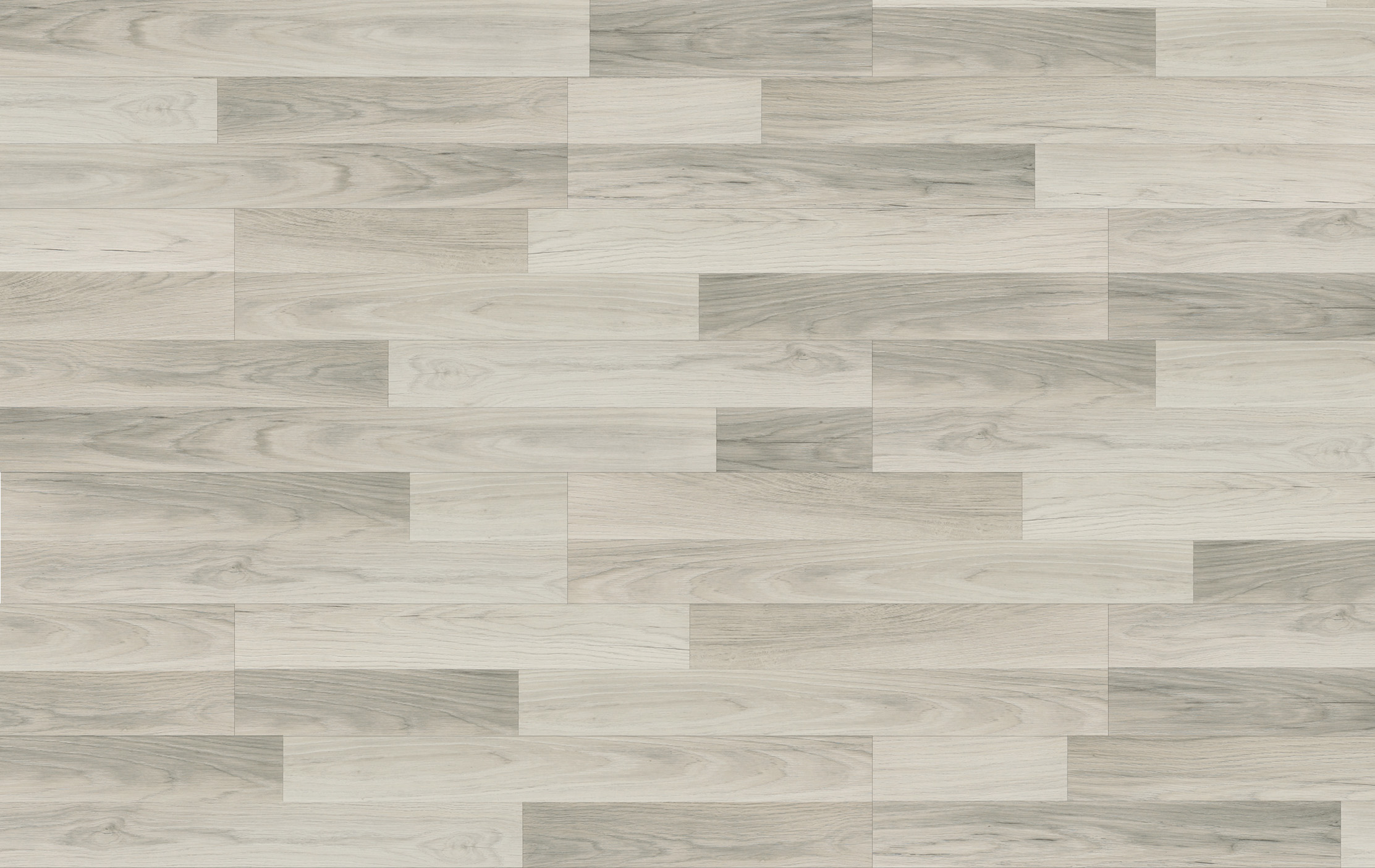 29395 - Joy - Dąb Toronto - L301