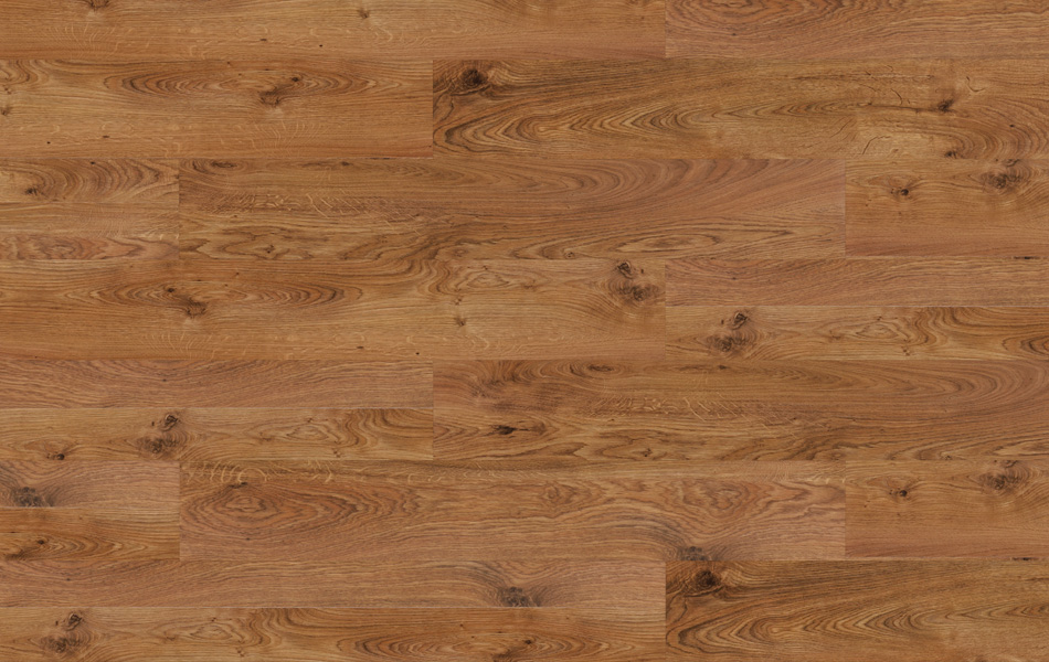 29984 - Life - Dąb Michigan - L845