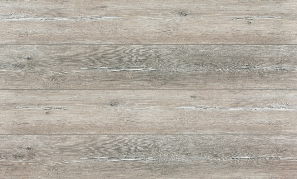 33706 - Extravagant Dynamic II - Dąb stary Samaria - L656