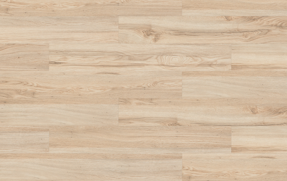 37316 - Life - Dąb Verona - L782