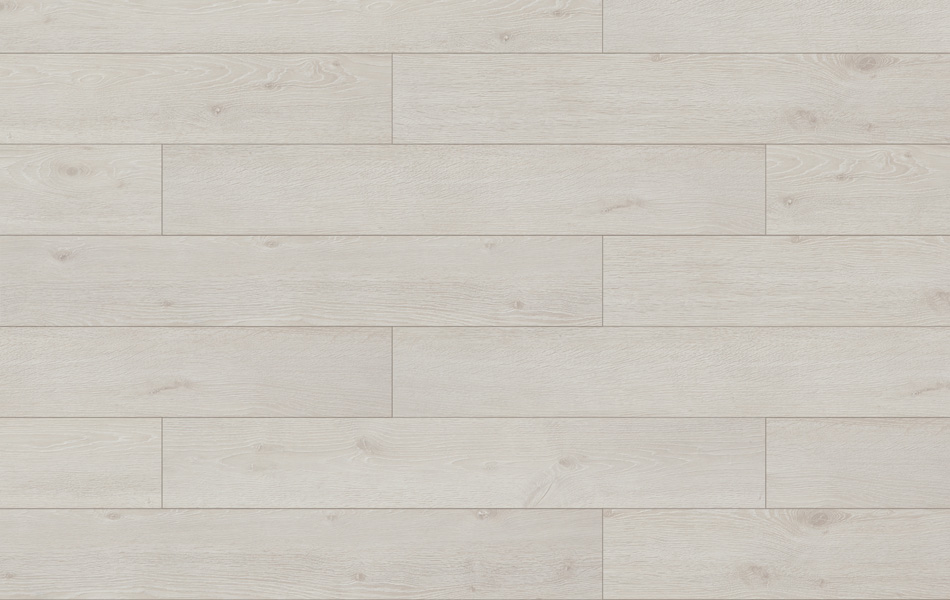 37328 - Master 4V - Dąb Rimini - L3664