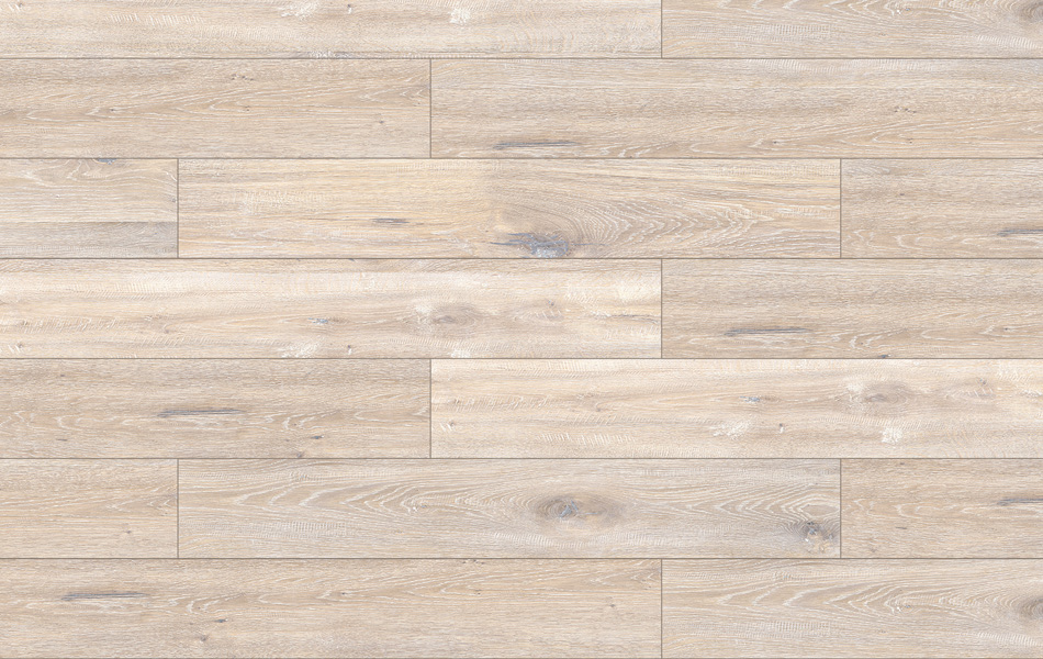 40883 - Galaxy 4V - Dąb Martossa - D6095