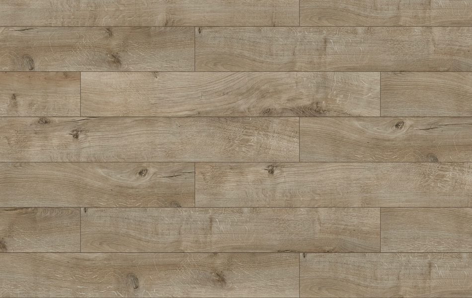 44008 - Galaxy 4V - Dąb Chester - L3750