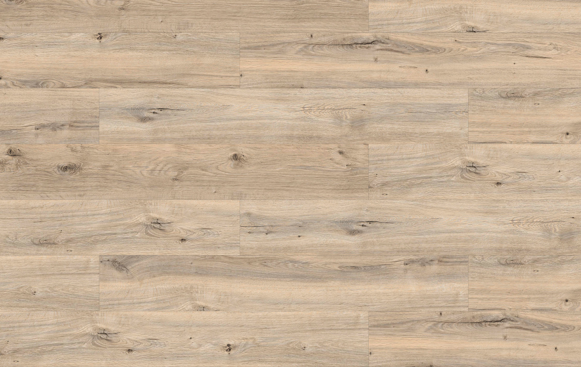 44023 - Joy - Dąb Orlando - L3734