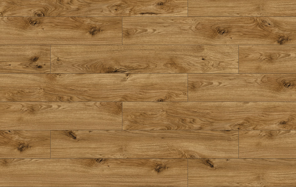 47119 - Galaxy 4V - Dąb Clifton - L3874