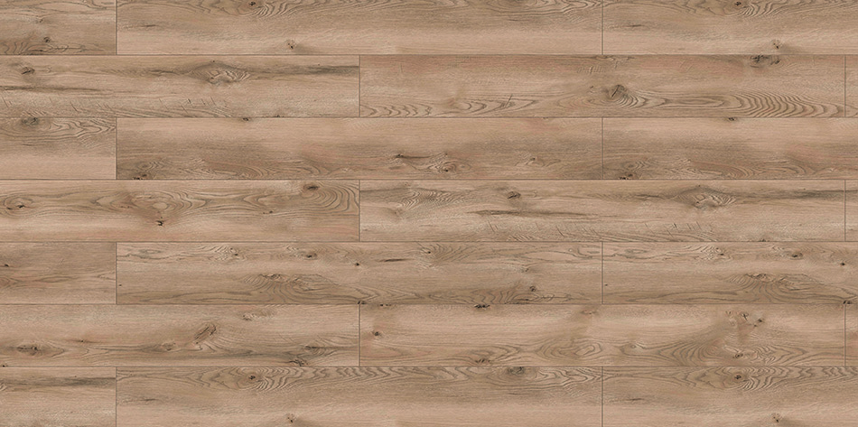 47732 - Legend 4V - Dąb Gordon - L3862_www