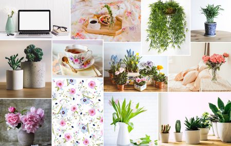 Kwiaty, które warto mieć w&nbsp;domu