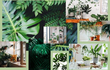 Dżungla we&nbsp;wnętrzu